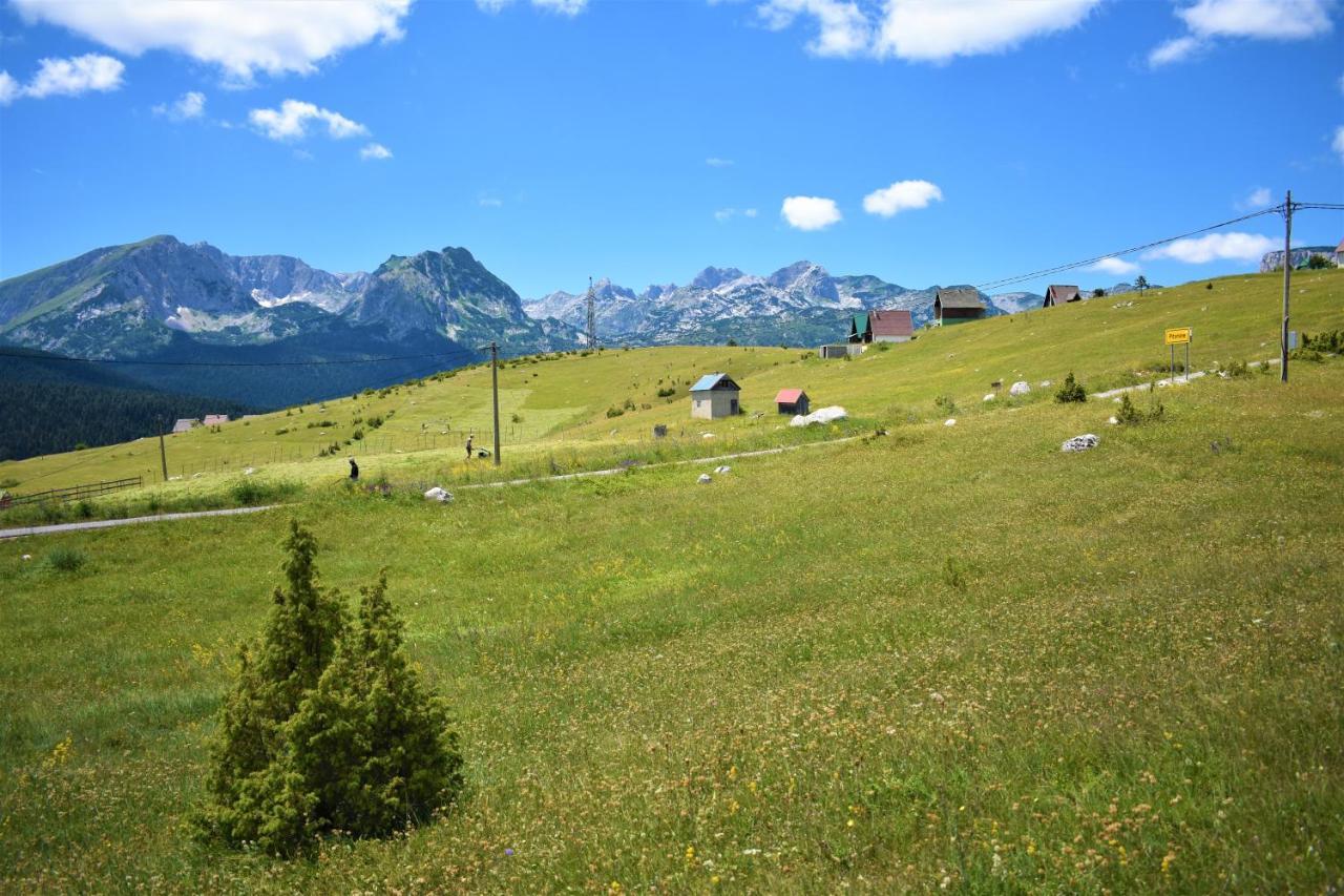 Durmitor View Villa Zabljak  Bagian luar foto